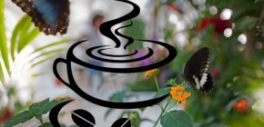 IL CAFFÉ DELLE FARFALLE, di Biagini Stefania
