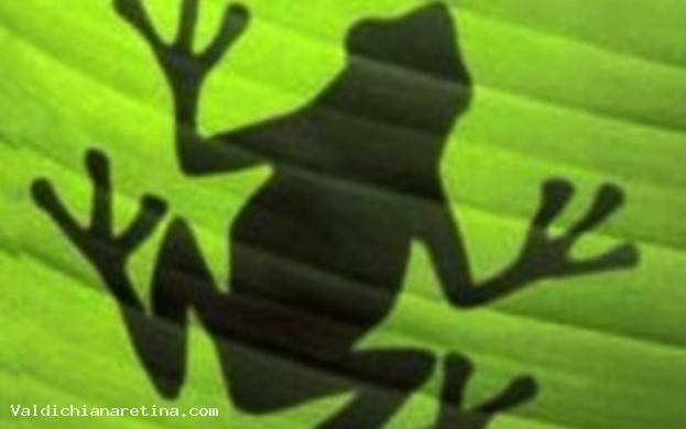 Sagra della Ranocchia di Brolio- frazione di Castiglion Fiorentino