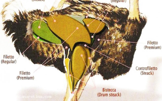 Sagra dello Struzzo di Manciano (frazione di Castiglion Fiorentino)