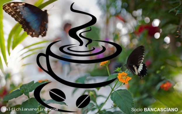 IL CAFFÉ DELLE FARFALLE, di Biagini Stefania